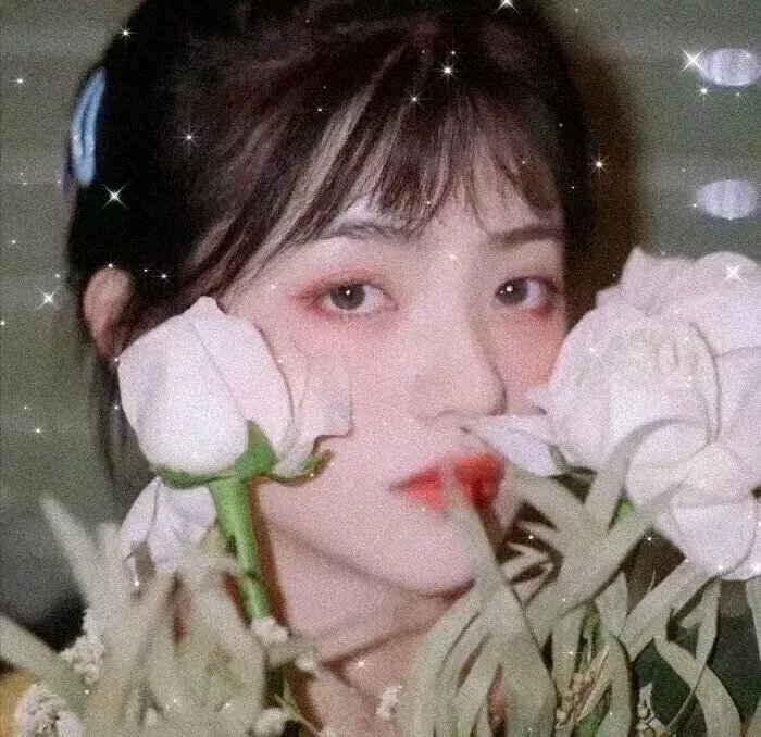 明天不再来